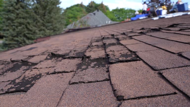 Best Hot Roofs  in Bostonia, CA