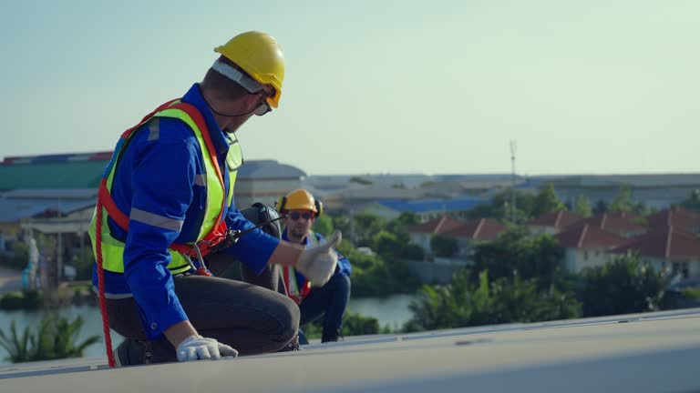 Best Roof Moss and Algae Removal  in Bostonia, CA