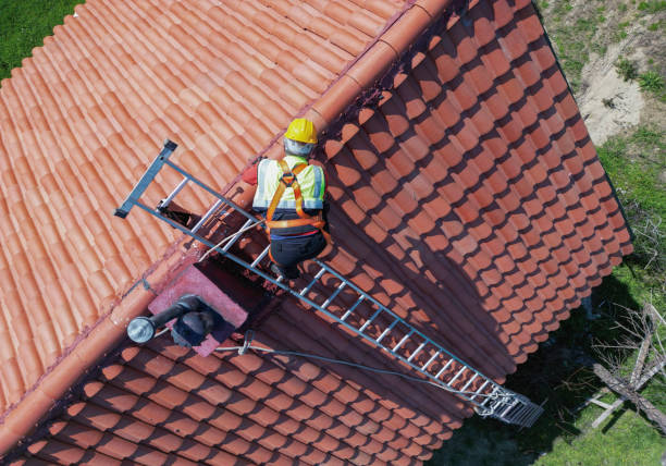 Best Sheet Metal Roofing  in Bostonia, CA