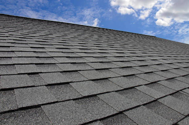 Best Solar Panel Roofing Installation  in Bostonia, CA