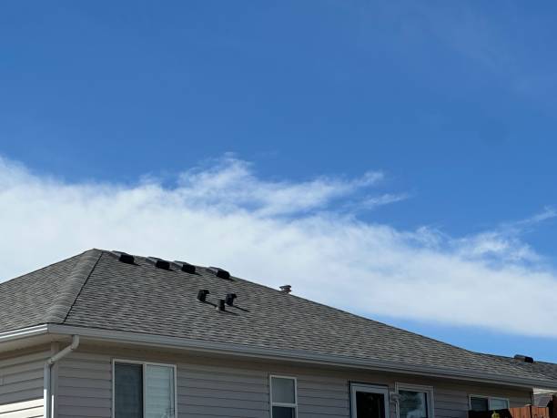 Best Emergency Roof Repair Services  in Bostonia, CA